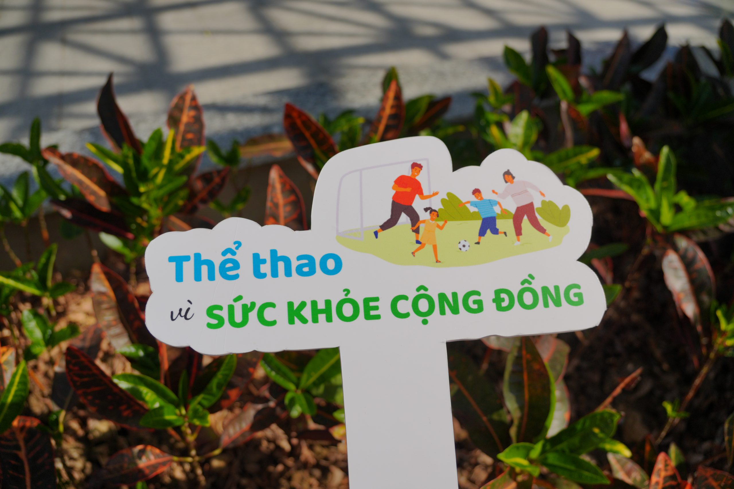 Dinh dưỡng thể thao: Nhiên liệu cho cơ thể vận động viên